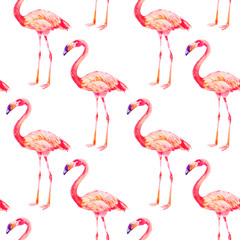 Obraz premium Pink flamingo on white background. Seamless pattern, watercolor textile design