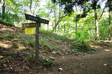 川苔山の船井戸
