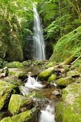 Obraz premium 百尋ノ滝