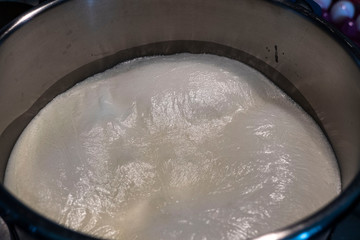 home cooked cow milk is best for health