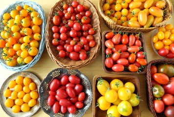 Tomatoes.