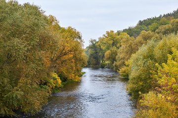 Green forest and river. Forest Lake. The river flows among trees. Beautiful view of nature. Landscape photo of green forest. Forest nature on a sunny day. Beautiful nature of Germany.