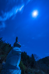 長谷寺ウサギ観音