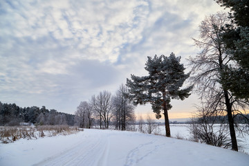 Obraz premium Winter landscape with snowy road, trees and blue sky with white clouds