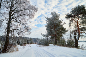 Obraz premium Winter landscape with snowy road, trees and blue sky with white clouds