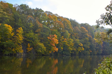 Green forest and river. Forest Lake. The river flows among trees. Beautiful view of nature. Landscape photo of green forest. Forest nature on a sunny day. Beautiful nature of Germany.