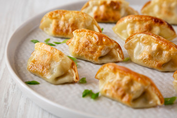 Homemade japanese gyoza on a plate over white wooden background, side view. Close-up.
