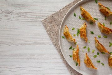 Homemade japanese gyoza on a plate, top view. Overhead, from above, flat lay. Copy space.