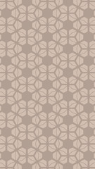 Ornate geometric pattern and two-tone abstract background