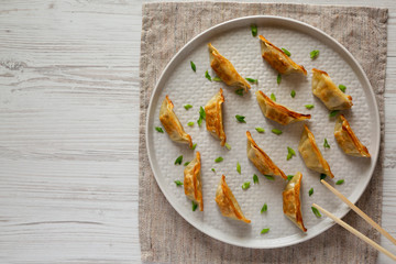 Top view, homemade japanese gyoza on a plate. Overhead, from above, flat lay. Copy space.