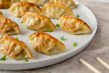 Homemade gyoza on a plate, side view. Close-up.