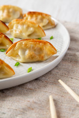 Homemade gyoza on a plate, side view. Close-up.