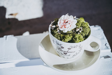 Décoration d'intérieur, mousse et fleur dans une tasse marquée bonheur