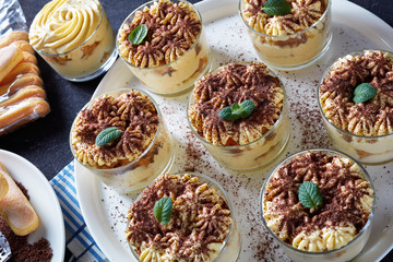 tiramisu, italian dessert of ledifingers, top view