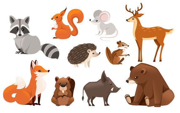 Forest animal set. Colored animal icon collection. Predatory and herbivorous mammals. Flat vector illustration isolated on white background