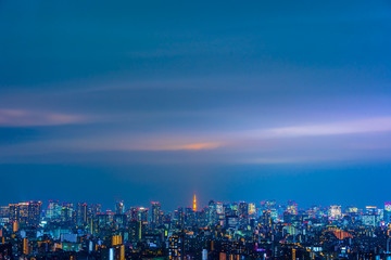 Fototapeta na wymiar Tokyo city at night, Japan