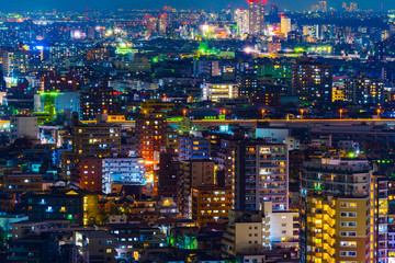 Fototapeta na wymiar Tokyo city at night, Japan