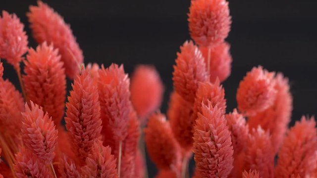 pink phalaris bouquet
