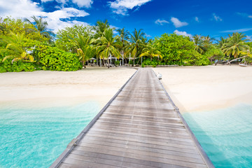 Amazing beach scene, long jetty into the palm trees. Maldives, paradise beach background, design banner. Luxury tourism travel destination concept