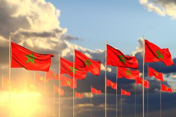 nice any occasion flag 3d illustration. - many Morocco flags on sunset placed in row with bokeh and place for your text