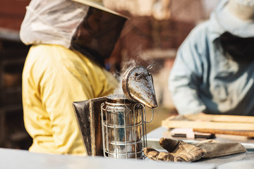 Frames of a bee hive. Beekeeper harvesting honey. The bee smoker is used to calm bees before frame removal