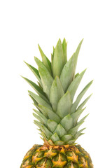 Large fresh ripe fruit pineapple on a white isolated background. fruit, summer.