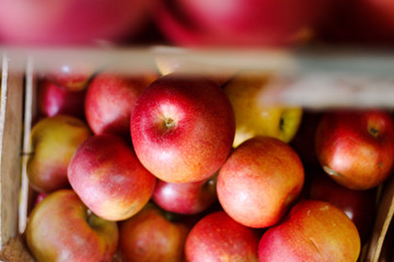 Fresh apples in wooden boxes