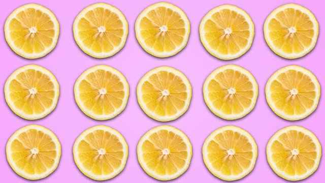 Abstract color animation of sliced lemon on violet pastel background. 4K seamless loop clip art fruit footage.