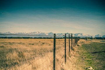 fence in the field