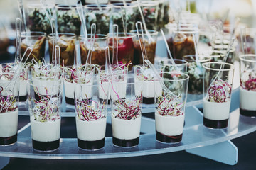 Buffet d'assortiment de verrines, cocktail pour mariage