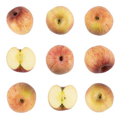 apple organic fruit on white background.