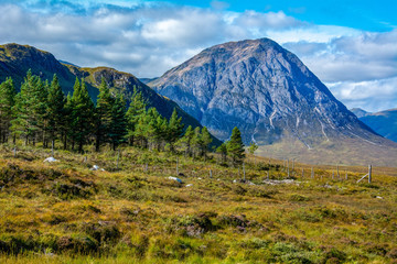 Fototapeta premium Blue Moutain