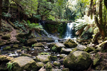 Naklejka na ściany i meble Horseshoe Falls. Mt Field. National Park. Tasmania. Australia