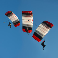 Compilation of the phases of the skydiver's movement with a parachute during the flight. Square...