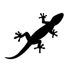 Fototapeta premium silhouette of gecko, lizard on white background. vector illustration