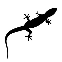 silhouette of gecko, lizard on white background. vector illustration