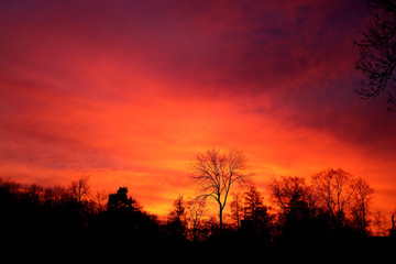 Bright photo of red sunset in the spring in the park