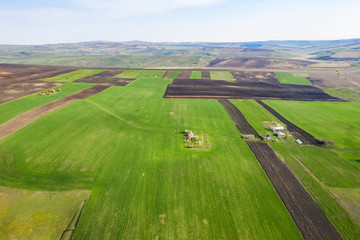 Naklejka premium Spring fields top view.
