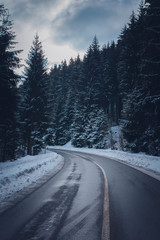 Winterlandschaft mit Straße im Wald