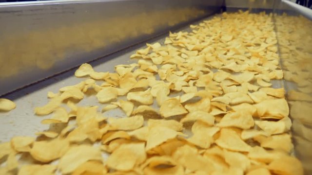 Motion Of Potato Chips Through The Factory Transporter