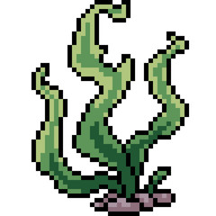 vector pixel art seaweed