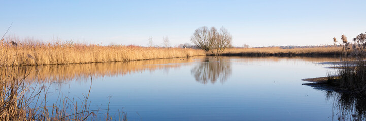 Gewässer mit trockenem Schilf, Rieselfeldern, Münster, Münsterland, Nordrhein-Westfalen, Deutschland, Europa
