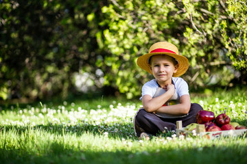 young boy gardener harvesting apples baby photo session apple juice plays eating apples