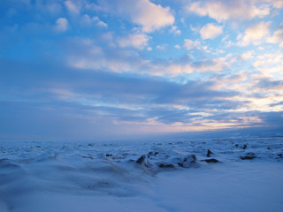 夜明けの流氷の海