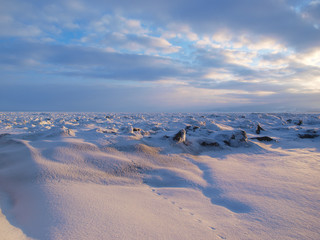 夜明けの流氷の海
