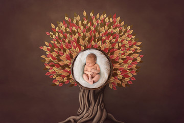 Autumn floral newborn portrait in basket round form. Photo- manipulations in warm colors - obrazy, fototapety, plakaty