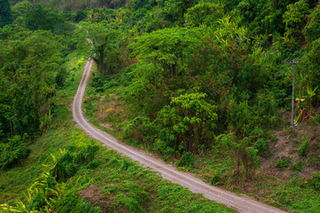 Rural roads Beside with green nature forest in the hill.