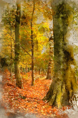 Watercolor painting of Stunning colorful vibrant Autumn Fall forest landscape