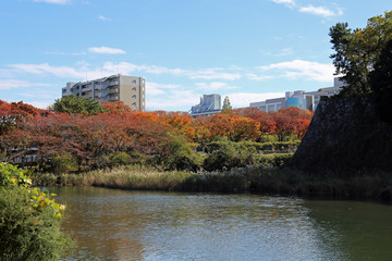 Fototapeta na wymiar 秋の名古屋城周辺風景