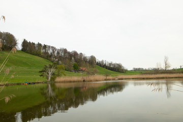 Fototapeta premium Lake